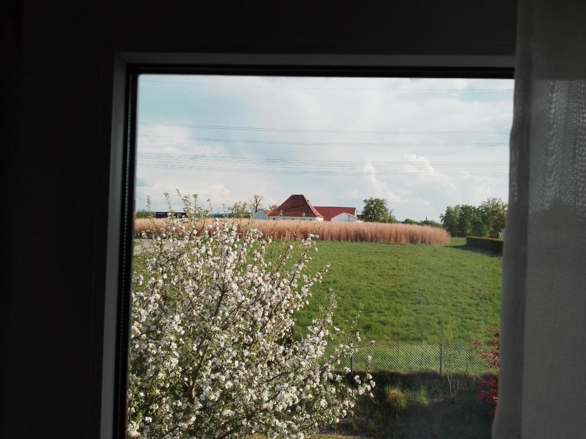 Pension Kappel รีด อิม อินไครส์ ภายนอก รูปภาพ